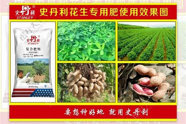 种玉米花生用什么复合肥啊？