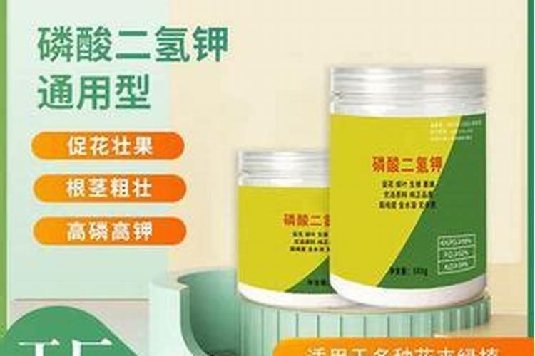 种萝卜可以施磷酸二氢钾和复合肥料吗