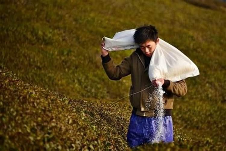 中国水溶肥十大品牌