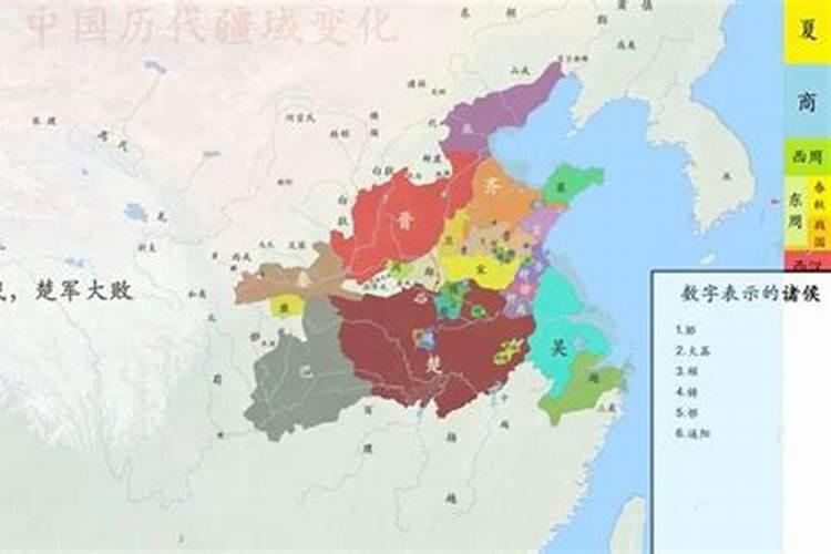 刺柏松的繁殖栽培