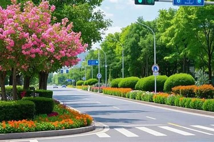 为什么树子也要打吊针