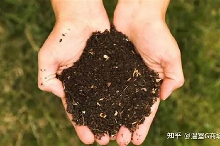 铜陵磷肥种小麦最忌三种东西