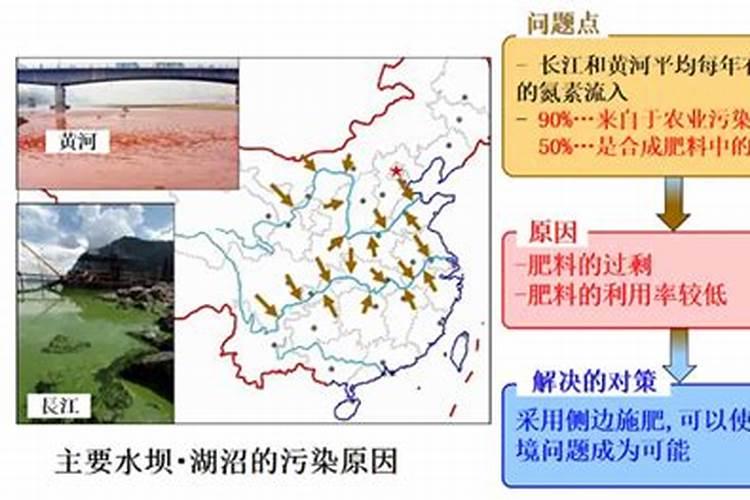 水稻田施肥后下大雨,肥会流失么？