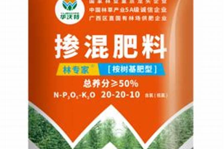 西南财经大学巴鲁学院可以提供宿舍吗