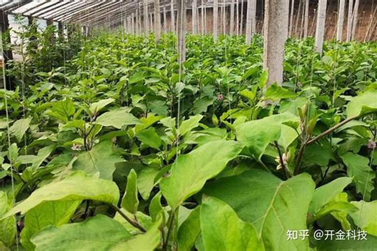 全面解读NY5252021有机肥料新标准及配套有机肥化验室验收设备百度知 ...