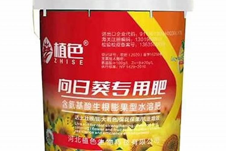如何掌握向日葵施用硼肥技术？