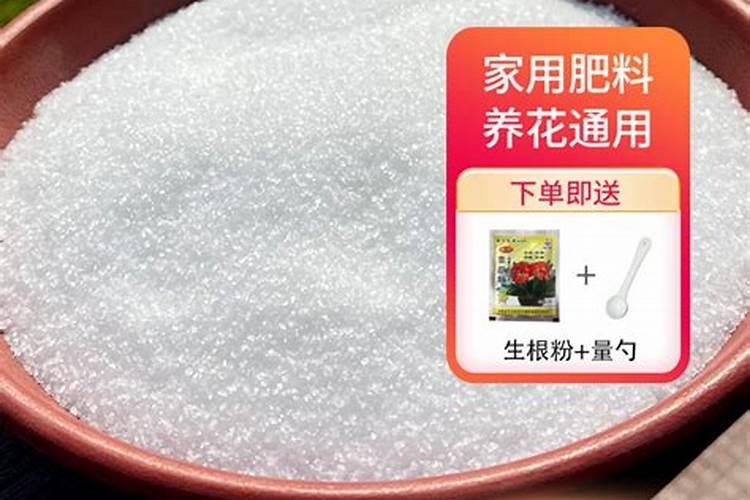 神魔幻想V光之传说的问题。。。