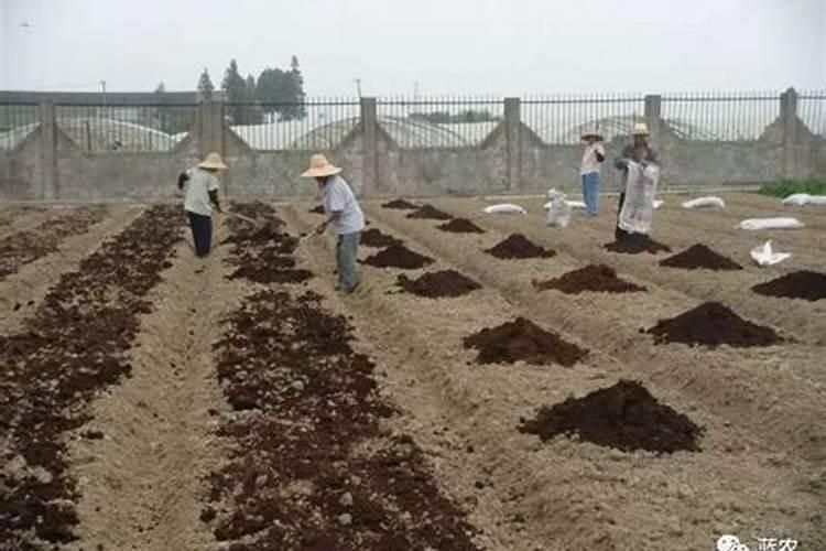 美益天鱼油胶丸品牌背景