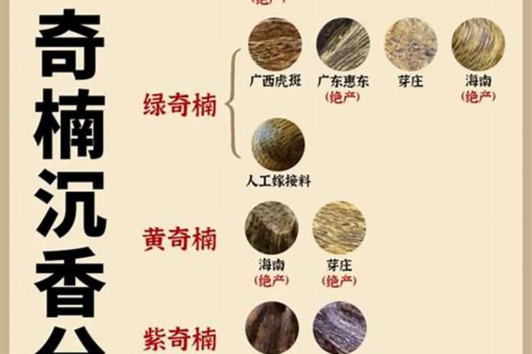 种植沉香准备和具体方法？