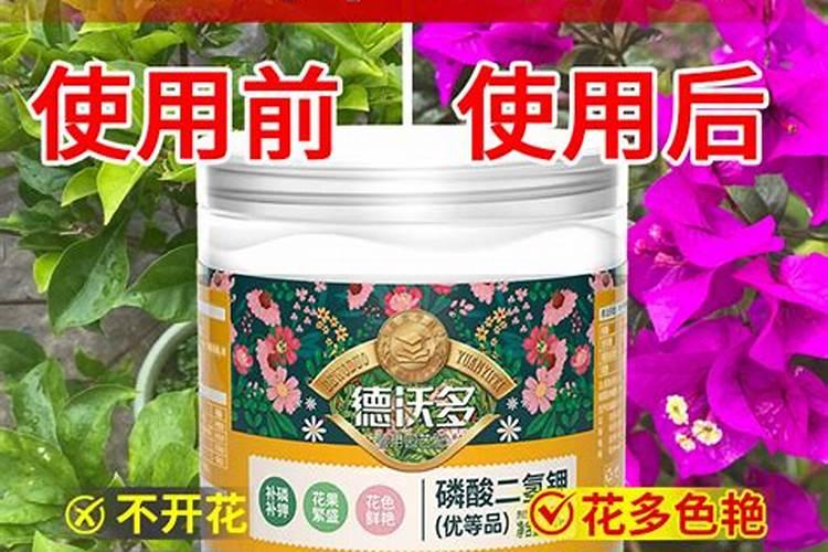 番茄挂果后怎么施肥 番茄施肥用什么肥料好