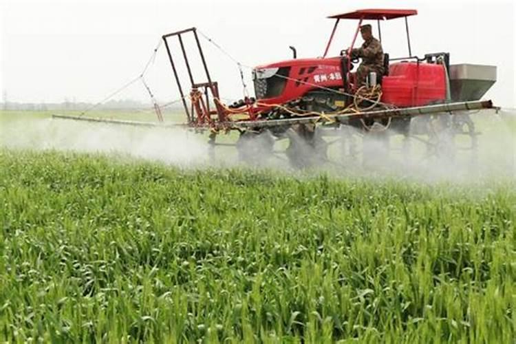 种植韭菜苔的工具