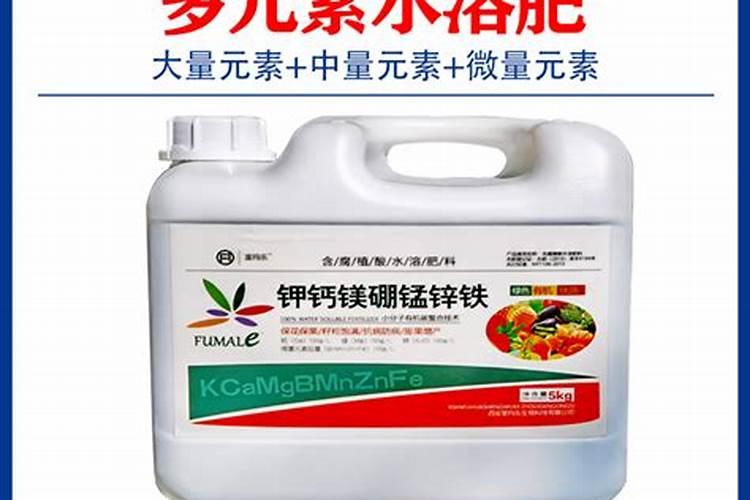 请问桔子树7月份能施肥吗