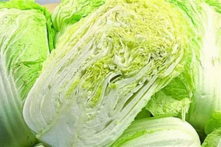 白菜多大时候喷钙镁硼肥好？
