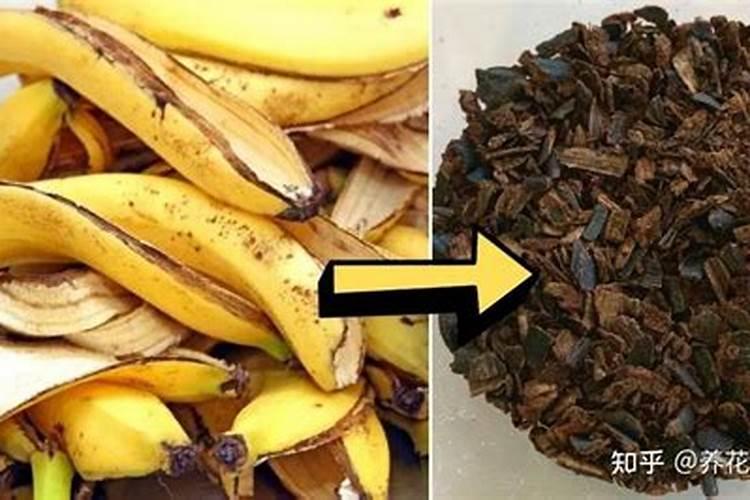 马铃薯无氧呼吸产物为什么是乳酸