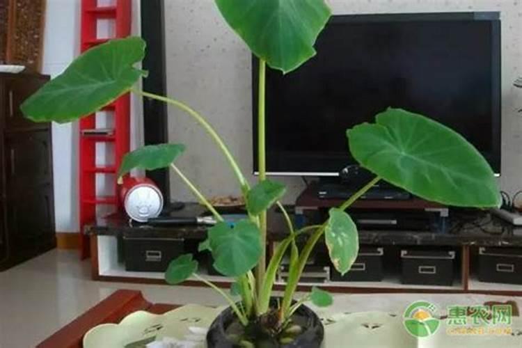 美妆店铺取名大全320个,有创意的美妆店名