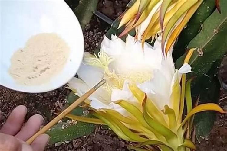 成都市的自来水水源流过都江堰市区吗