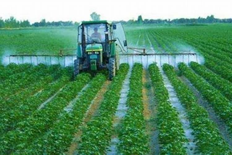 香菊胶囊能治好鼻炎吗