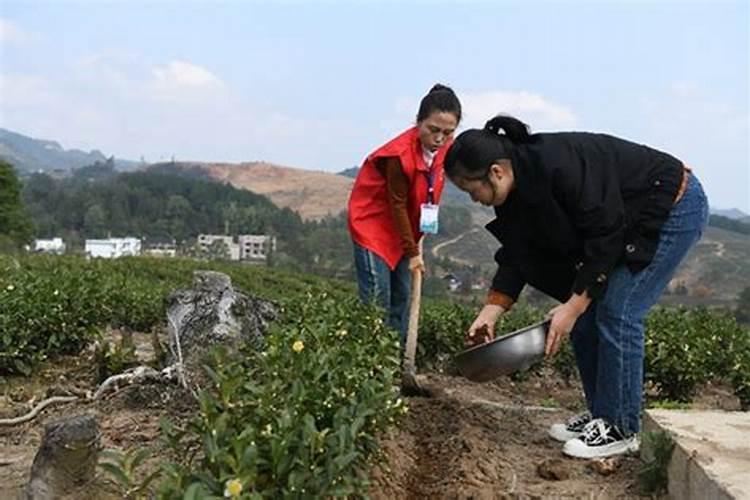 25个热门、崩盘跑路、不能提现的互联网项目简短评析!