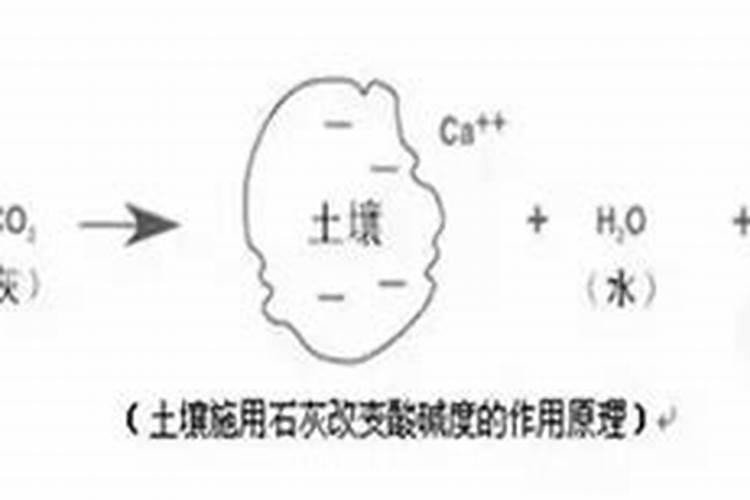 土壤酸碱度的产生原因