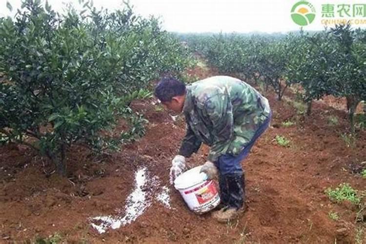 硝态氮肥有什么好处和坏处