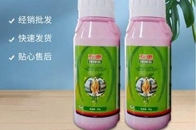 如何正确使用磷酸二氢钾