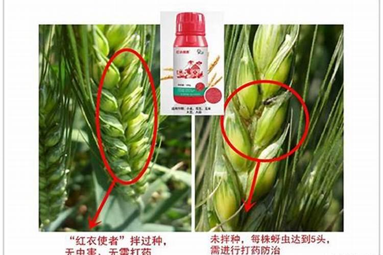 磷酸二氢钾的作用及使用方法及注意事项