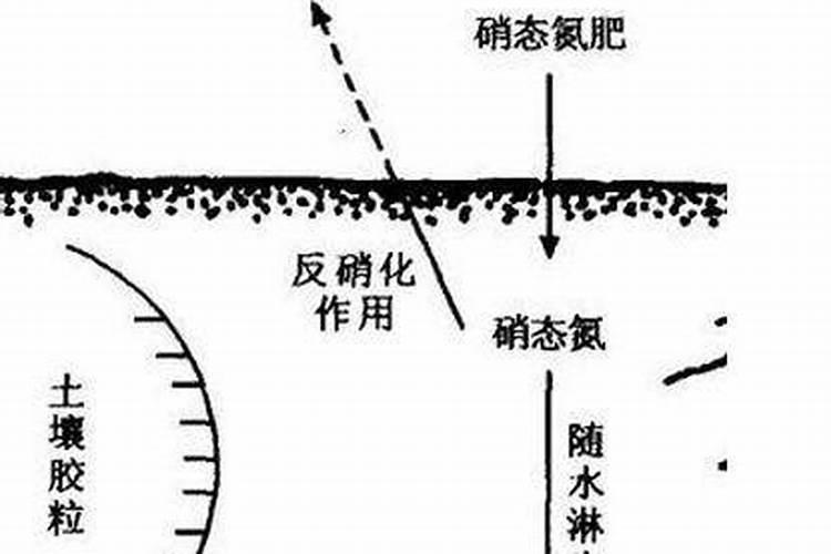 英国知名肥料企业