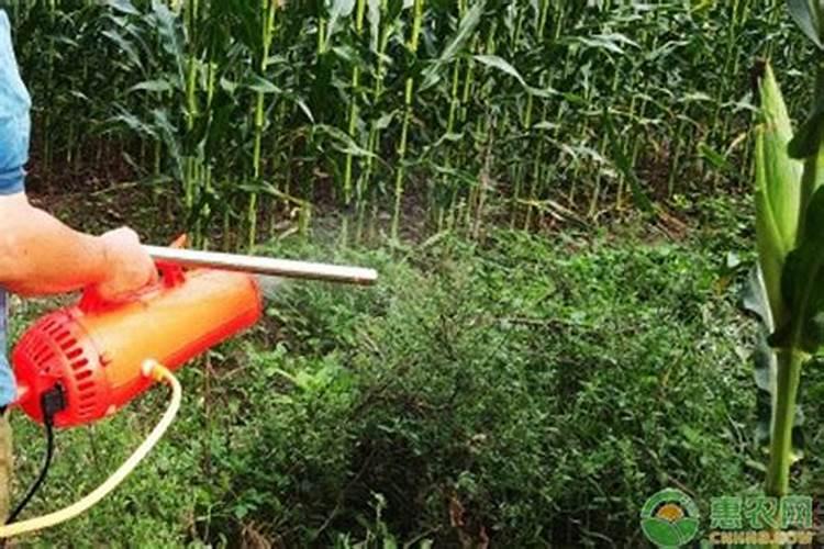 磷酸二氢钾和波尔多液混用会对农作物造成影响吗？