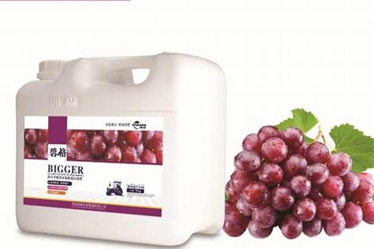 葡萄开春发芽上肥吗