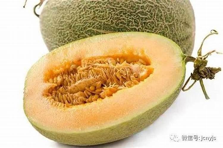 哈密瓜前期缺水,长不大,后期怎么补救？