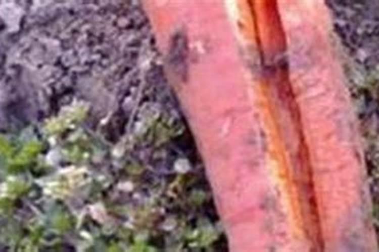 欧贝斯的产品怎么样