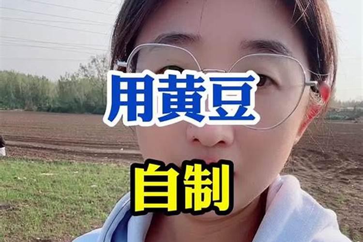 豆子如何制作肥料