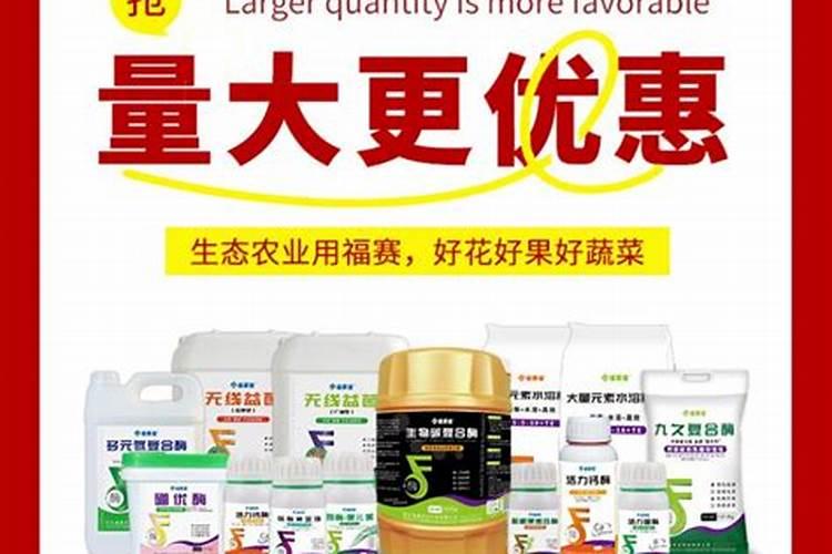 满天星用什么肥料最好