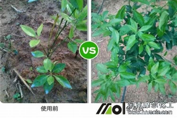 萃可多生物科技有限公司生产的3x18%的颗粒大量元素水流肥持效期多长...