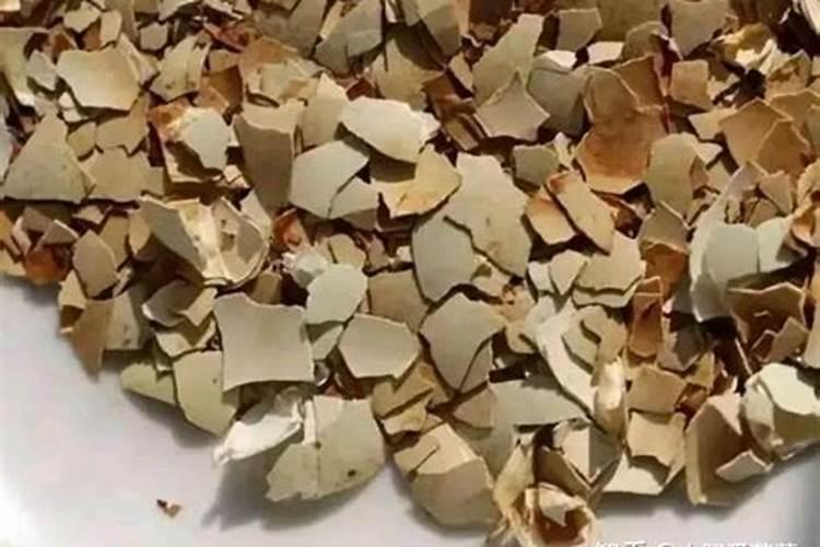 做肥料的蛋壳用生的还是熟的 蛋壳肥料可以用于什么花