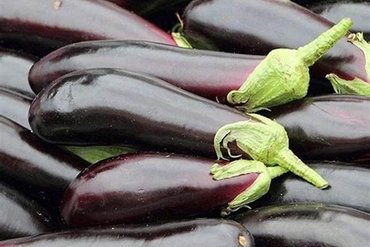 种棉花需要什么肥料