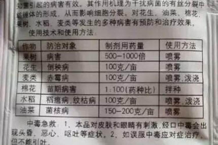 富贵椰子施什么肥好