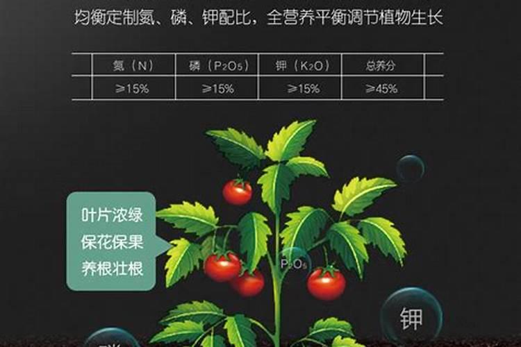卷柏多久浇一次水 卷柏几天一次水？