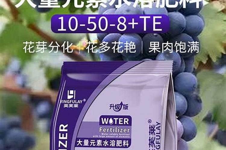 农艺师职称专业技术工作总结