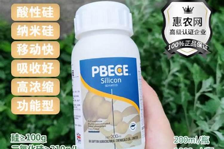 玉米金大棒一瓶盖会有多少克的量呢