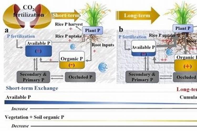 煮粥时黑豆先用水浸泡半天,请问浸泡过黑豆的水能一起煮吗？