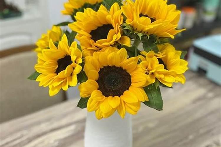 腐植酸钾大客户采购渠道有哪些