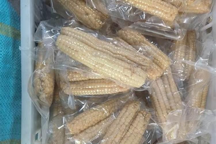 金正大控释玉米专用肥261212多少钱一吨