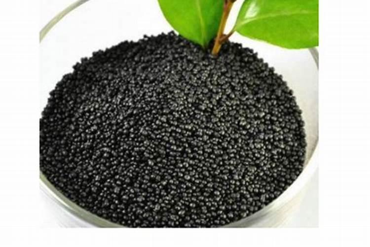 如何养好月季花,多注意这几点需求,轻松长到爆满盆你知道吗？