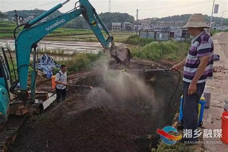 我国在化肥减量增效上,可以用有机肥替代化肥吗？