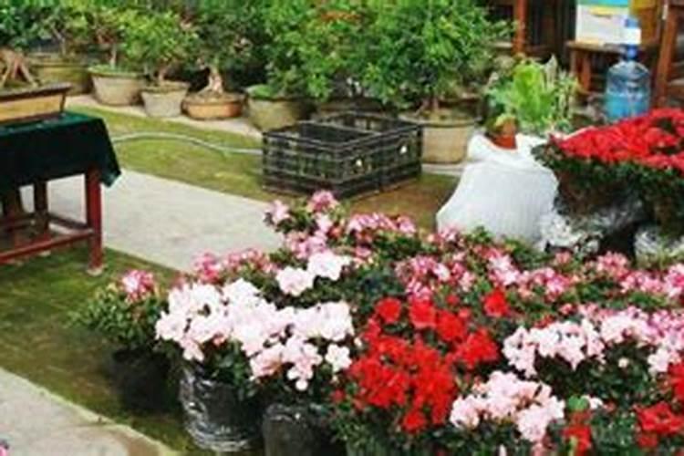 七月份应季蔬菜有哪些