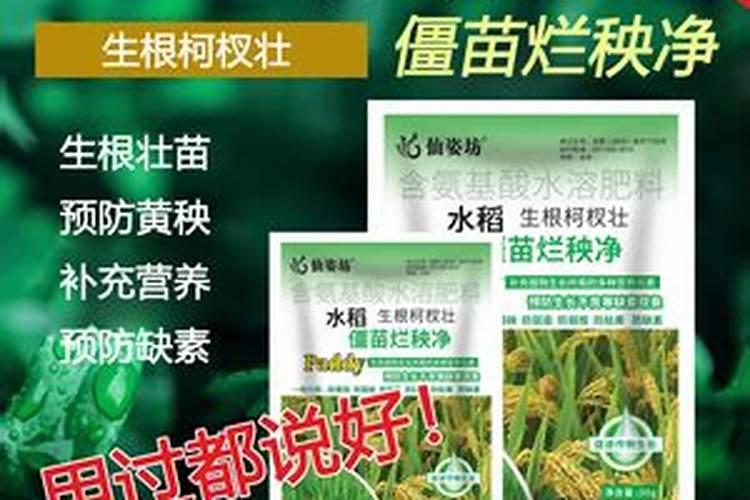 高纯度98%复硝酚钠如何作叶面肥施用