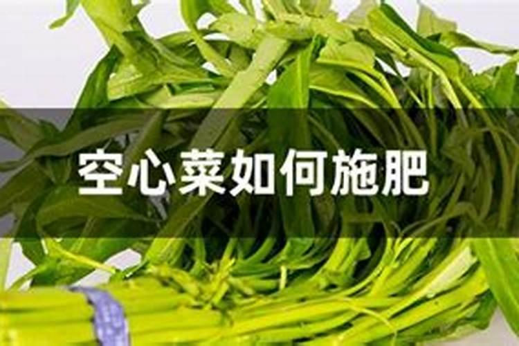 种植空心菜应该如何施肥？空心菜高产施肥技术!