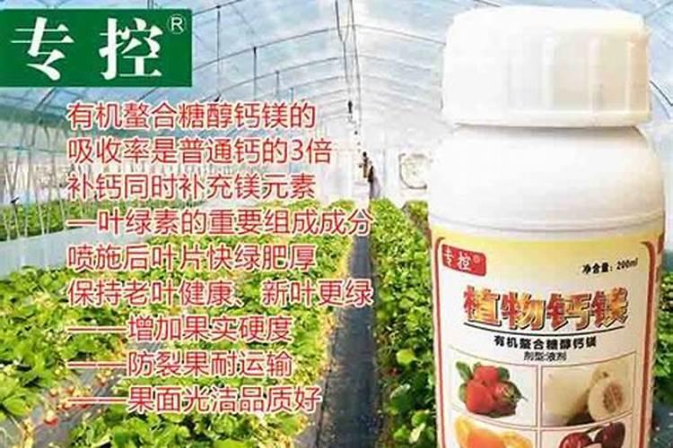 安其酵母,红糖加菜籽饼制生根肥的配比及发酵时间