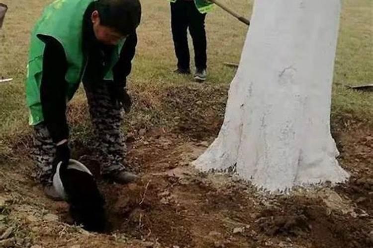 氰化物可以自己做实验得到吗